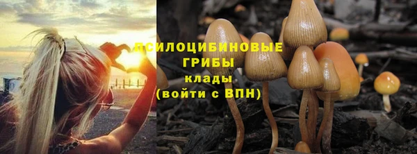 MESCALINE Пересвет
