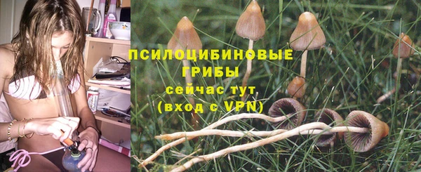 MESCALINE Пересвет