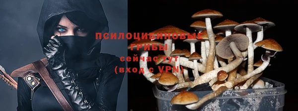 mix Переславль-Залесский