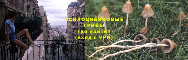 мет Пестово