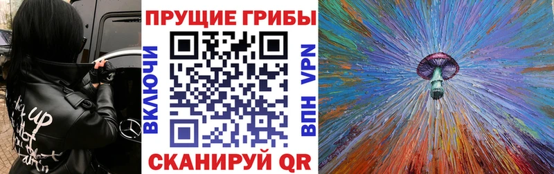 Псилоцибиновые грибы Psilocybine cubensis  ОМГ ОМГ ссылки  Ялуторовск 