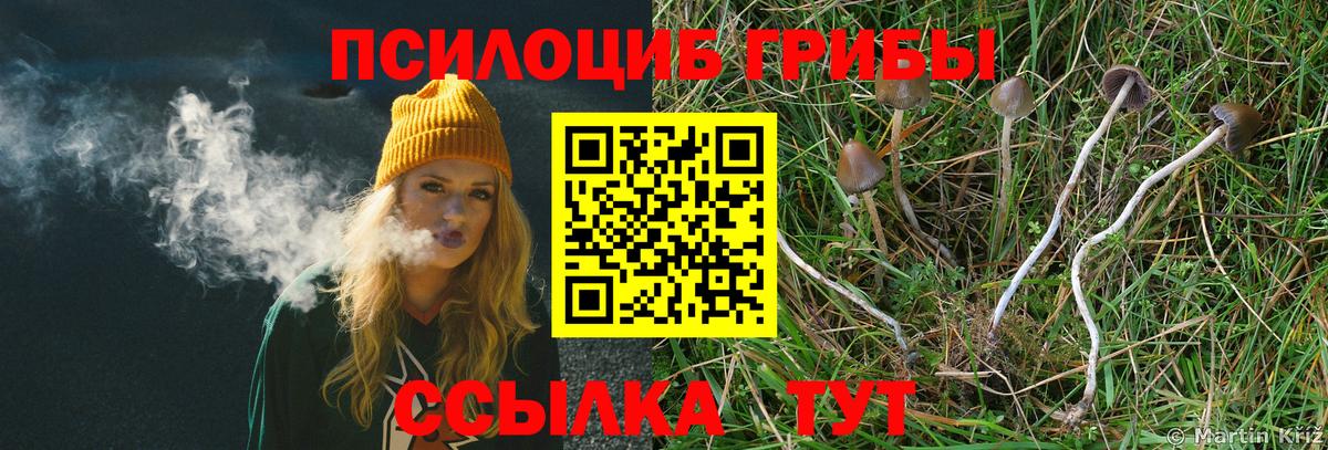 Галлюциногенные грибы мицелий  Вход с VPN  где купить наркоту  Ялуторовск 