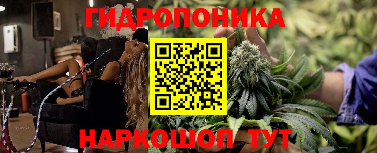 Бошки марихуана OG Kush Ялуторовск